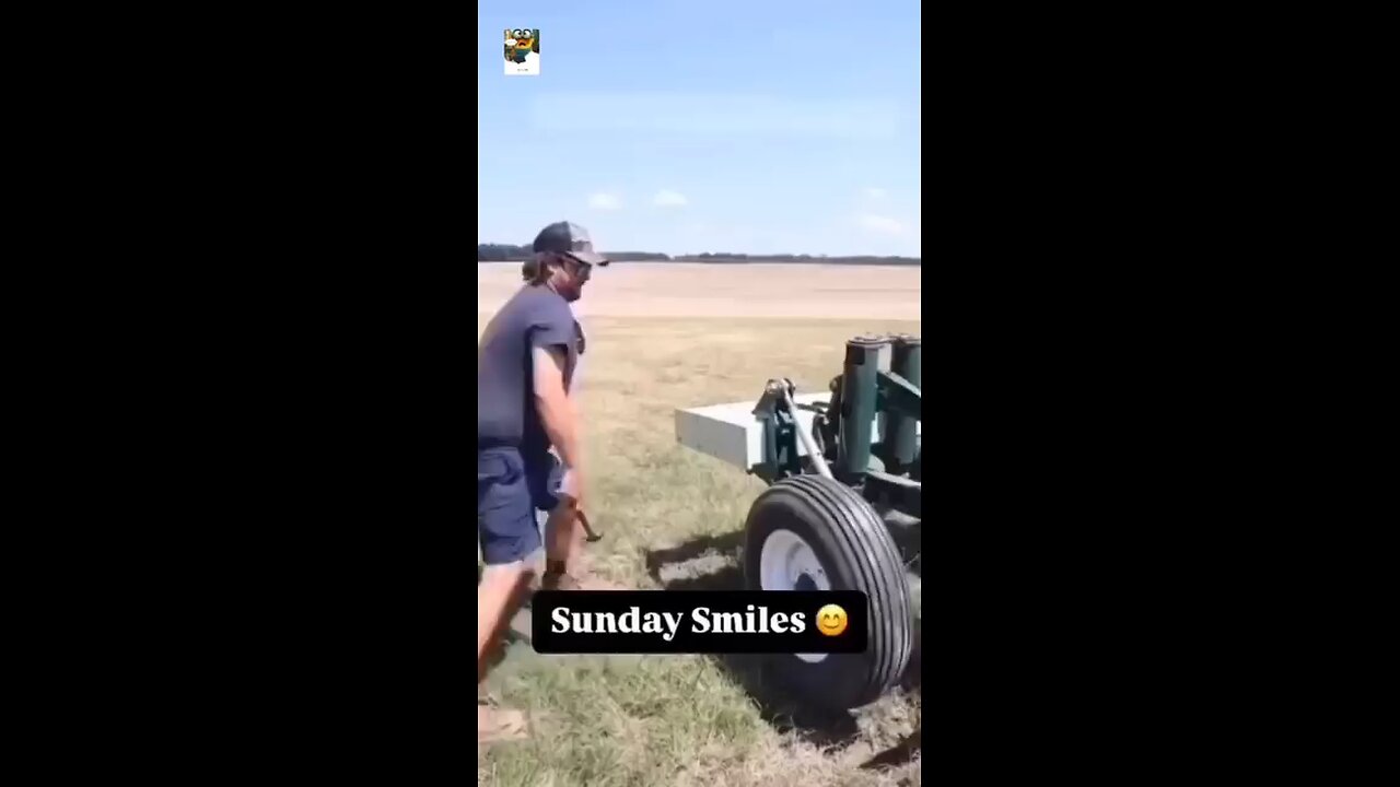fun5
