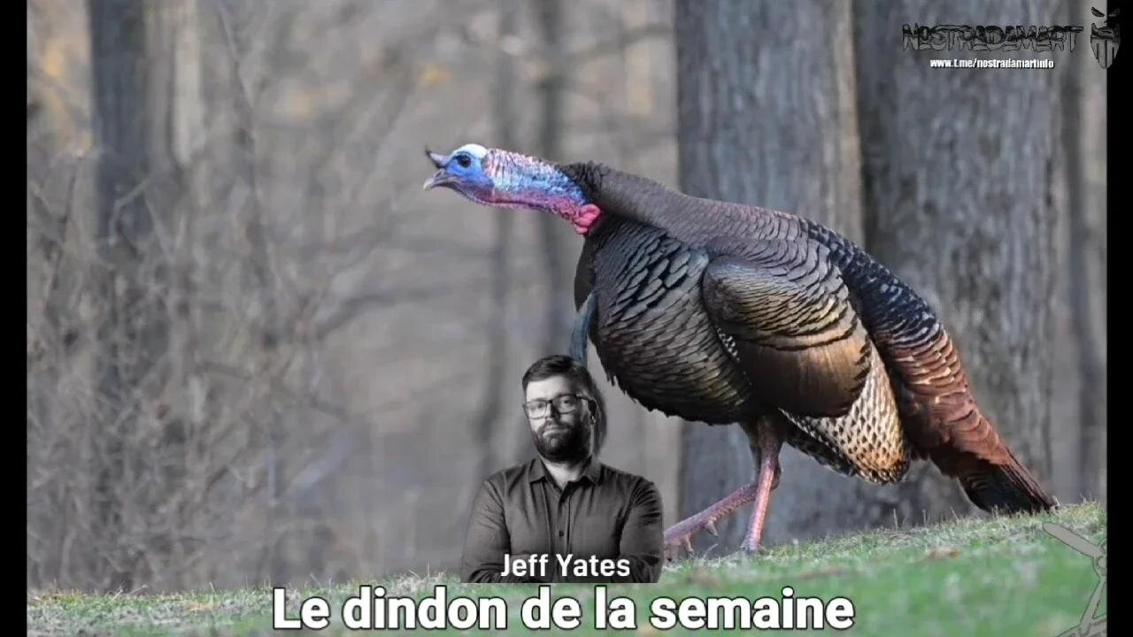 Le Dindon de la Semaine - Jeff Yates
