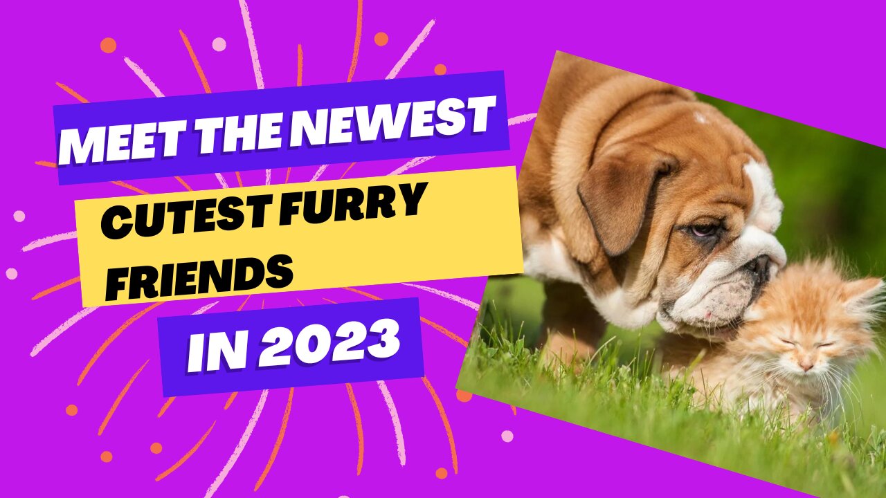 Meet the Newest and Cutest Furry Friends of 2023#dog #cat#doglover#