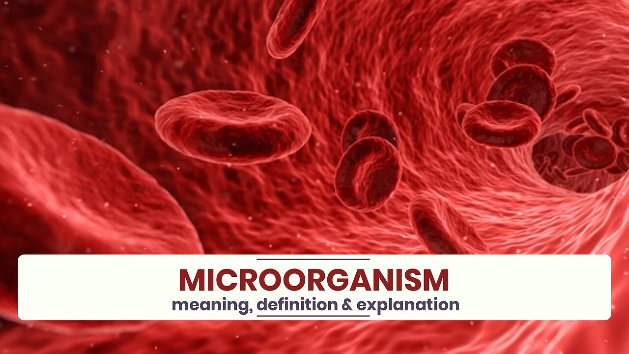 What is MICROORGANISM?