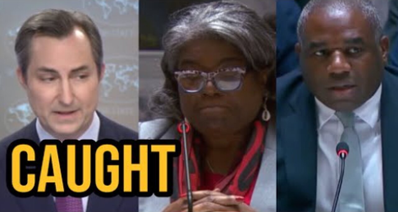Matthew Miller has claims on Gaza contradicted by own ambassador, David Lammy