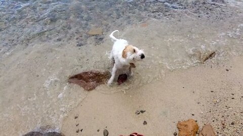 Ares loves water now when it is not cold anymore