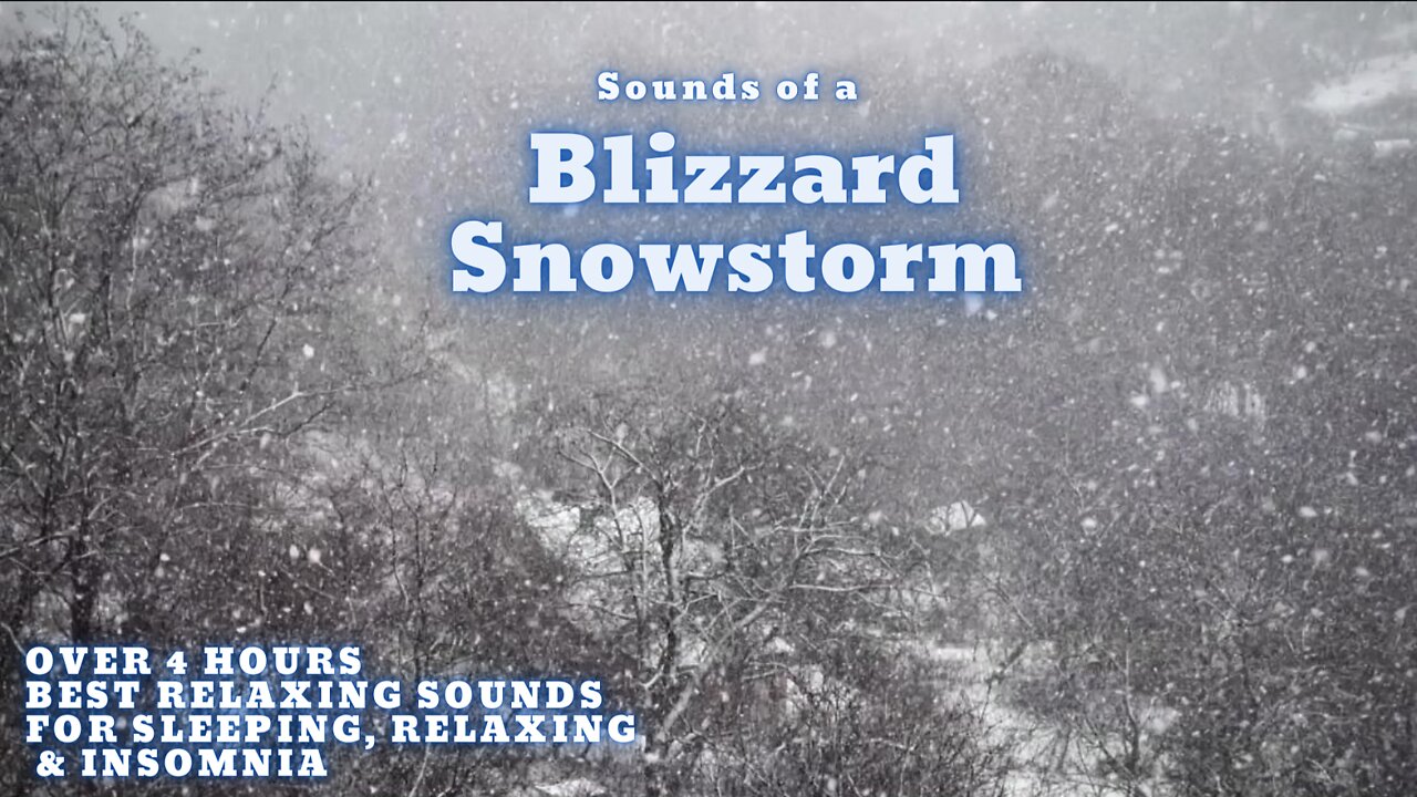 Blizzard Snowstorm Wind Sounds for Sleeping, Relaxing, & Insomnia - Howling Wind & Blowing Snow