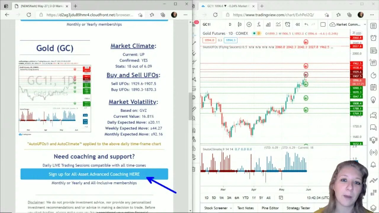 AutoUFOs 3-D Market Commentary (Becky Hayman) 2021 May-27