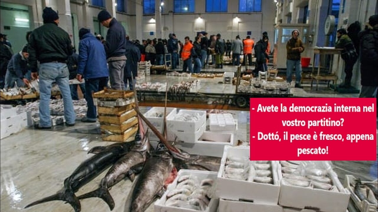 Il mercato del pesce di Piazza della Dissidenza - 10 giugno 2024