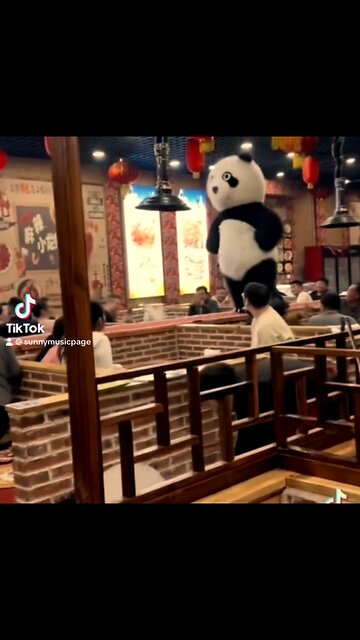 Panda dancing