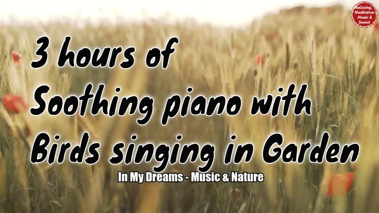 Soothing music with piano and birds singing for 3 hours, music that relief insomnia and tinnitus