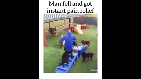 Dogs have a very good kindness