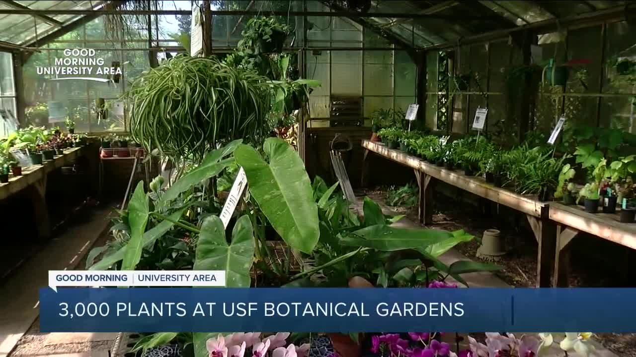 USF Botanical Gardens will make you feel like you're nowhere near a college campus