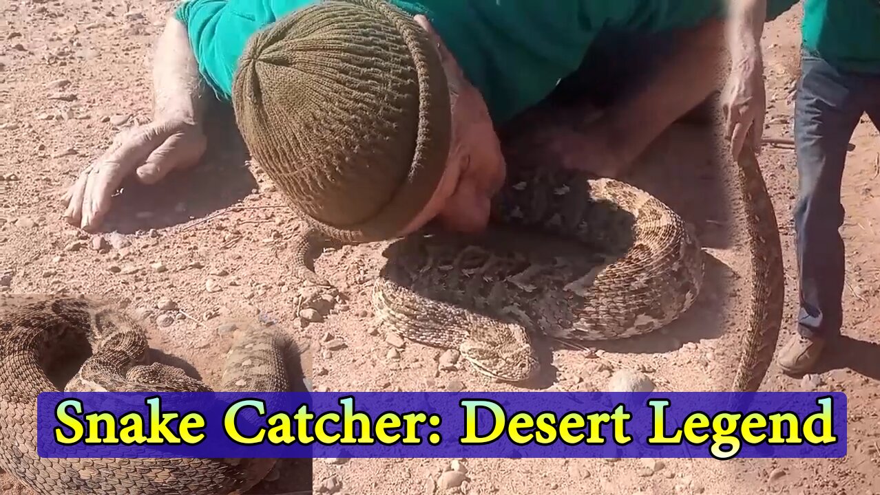 Snake Catcher A real world superhero