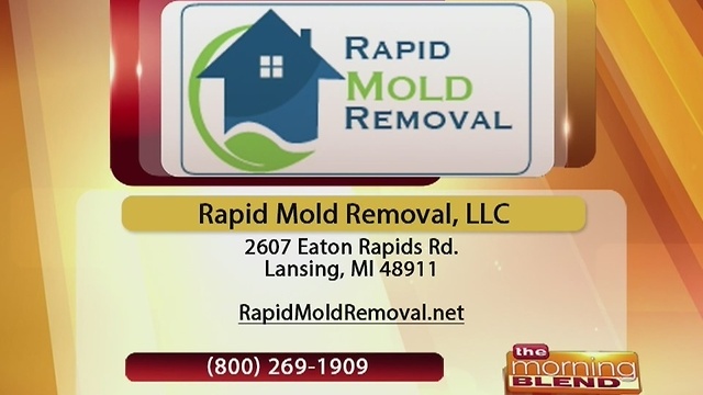 Rapid Mold Removal - 12/26/16
