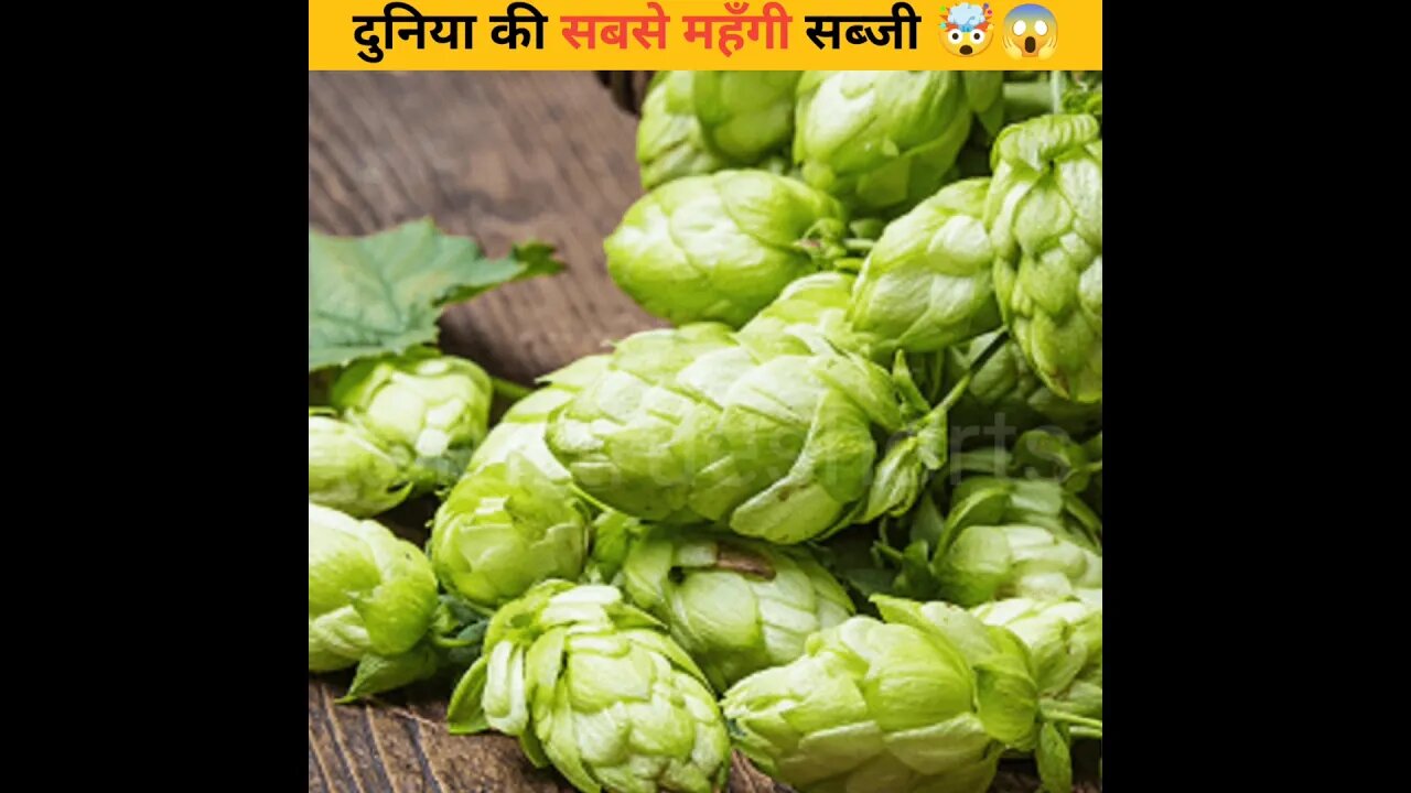 दुनिया की सबसे महँगी सब्जी 🤯😱 most expensive vegetable #facts #shorts #mrtrueshorts