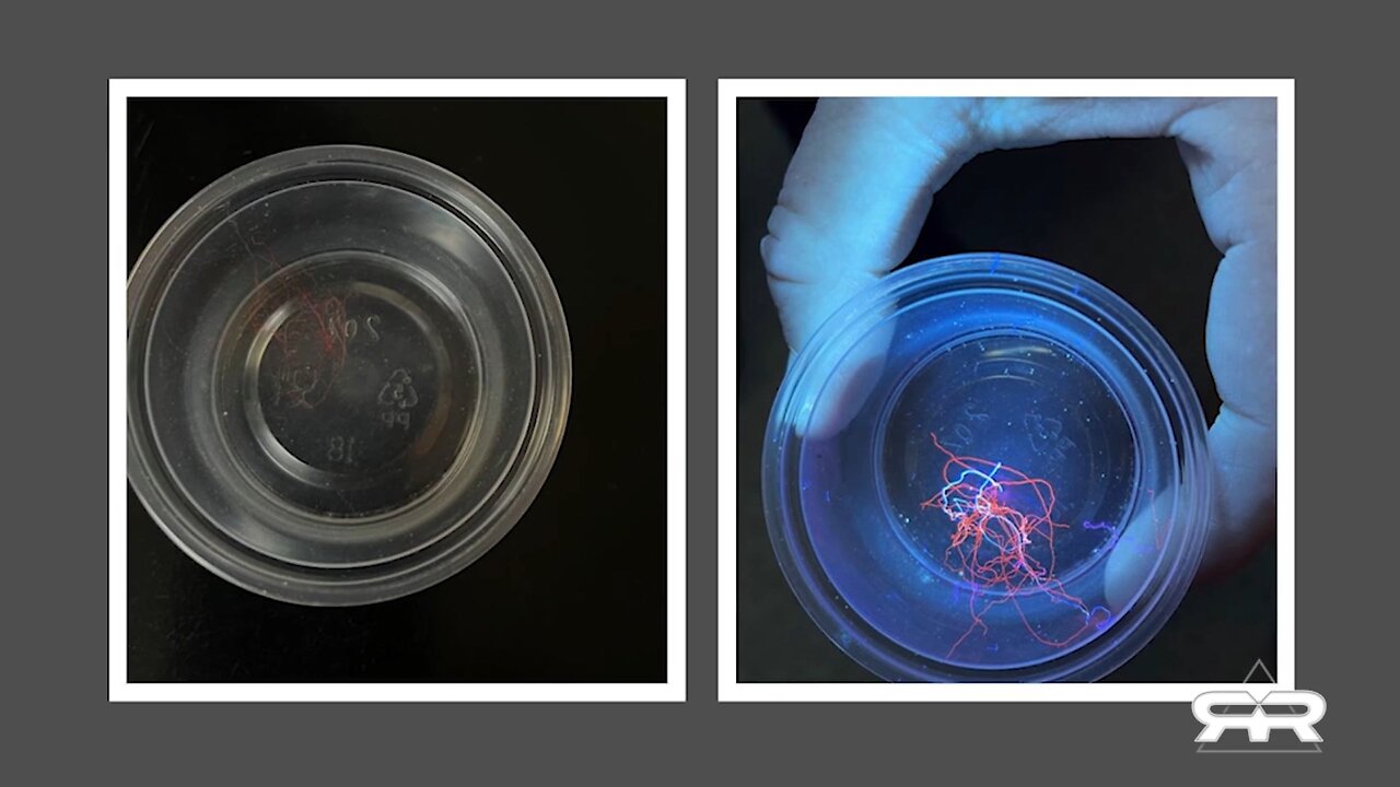 Evidence Shows Biological ID System Has Already Been Deployed - Greg Reese