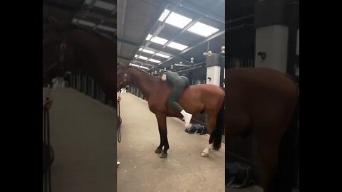 Cavala montando no cavalo #short