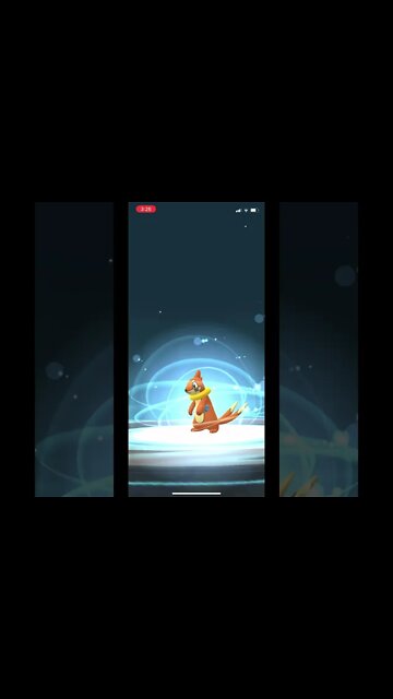 Pokémon Go - Buizel Evolving Into Floatzel Showcase #Shorts