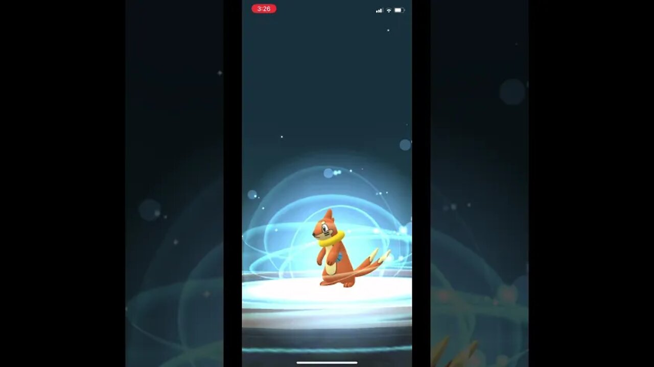 Pokémon Go - Buizel Evolving Into Floatzel Showcase #Shorts