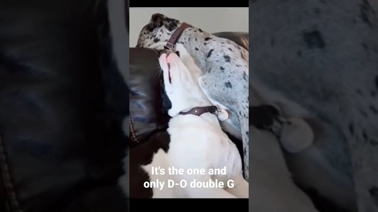 It's the one and only D-O double G #shorts