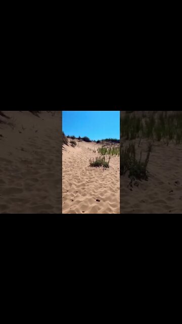 Large sand dunes at the beach