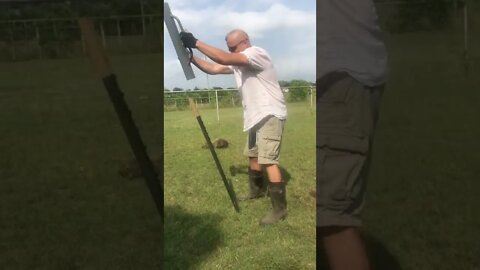 She digs my ANGLE! 😂 #shorts