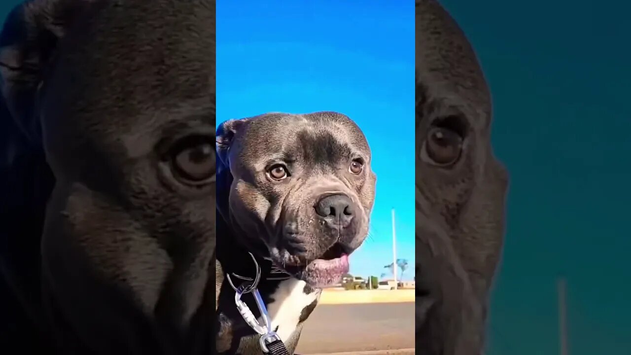 Expect The Unexpected😰 (please get this viral) #shorts #subscribe #viral #funny