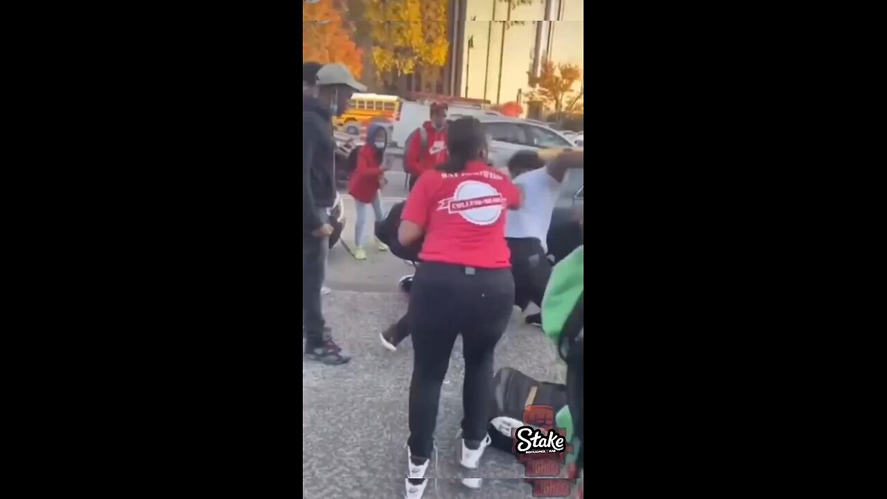 Street Foghtd Compilation of the Week ,Top 5 Fights of the Week