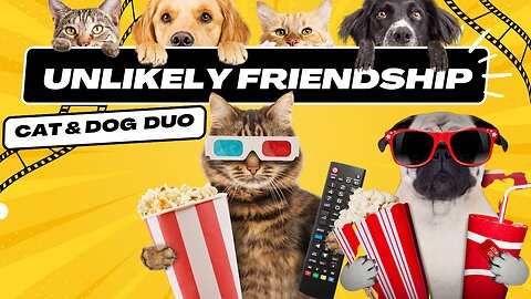 "Adorable Cat and Dog Duo: Hilarious Antics and Heartwarming Moments!"