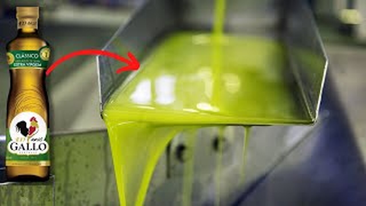 Como o Azeite de Oliva é feito - Processo Industrial
