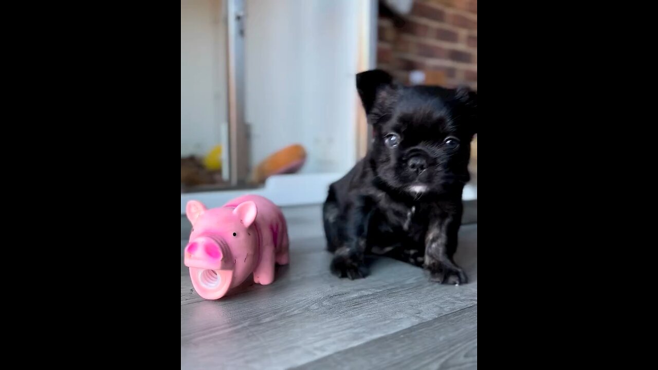 Look at this cutie ❤️