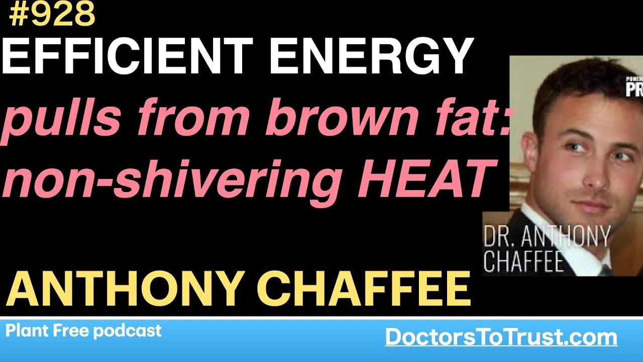 ANTHONY CHAFFEE h | EFFICIENT ENERGY pulls from brown fat: non-shivering HEAT