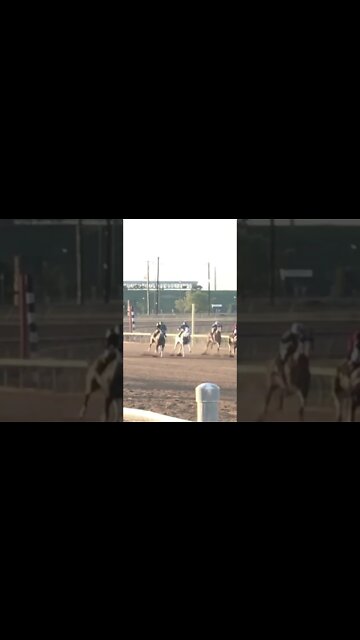 The Horse was named Van Halen!!!