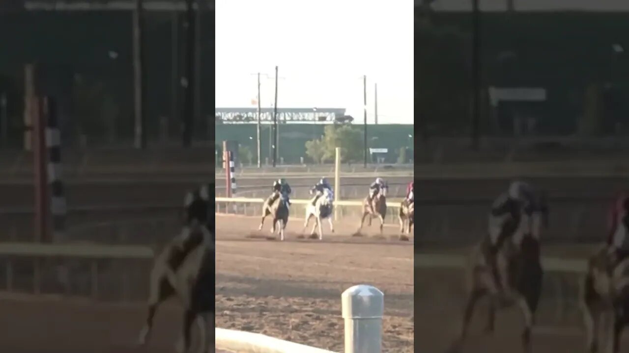 The Horse was named Van Halen!!!