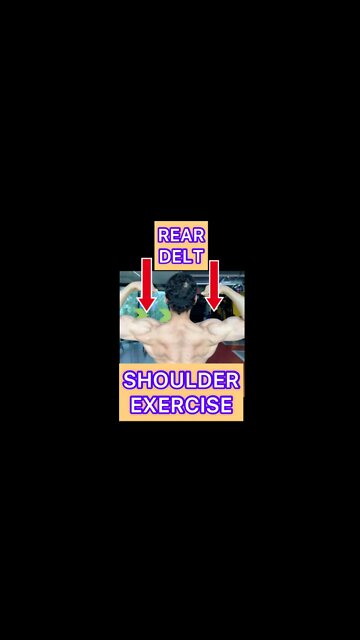 REAR DELT WORKOUT #shorts #youtubeshorts