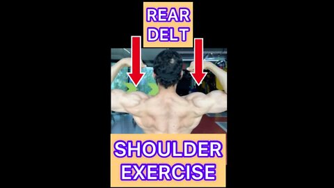 REAR DELT WORKOUT #shorts #youtubeshorts