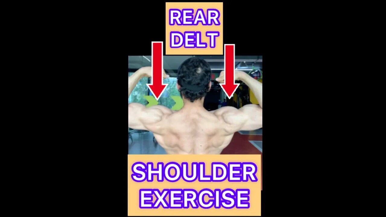 REAR DELT WORKOUT #shorts #youtubeshorts