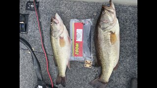 BASS FISHING IN A RIVER