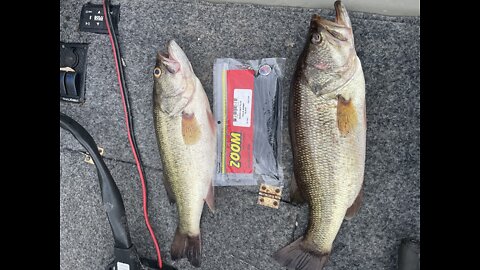 BASS FISHING IN A RIVER