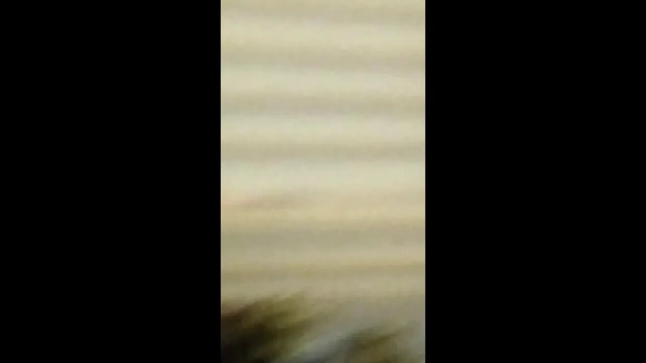 Is This Normal (Pt 4 of ???)