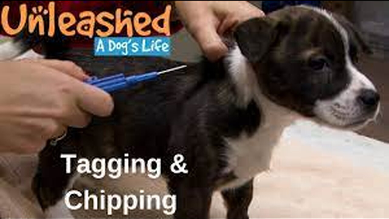 Assembly and reassembly by radio frequency (WiFi router) inside the vaxxed!
