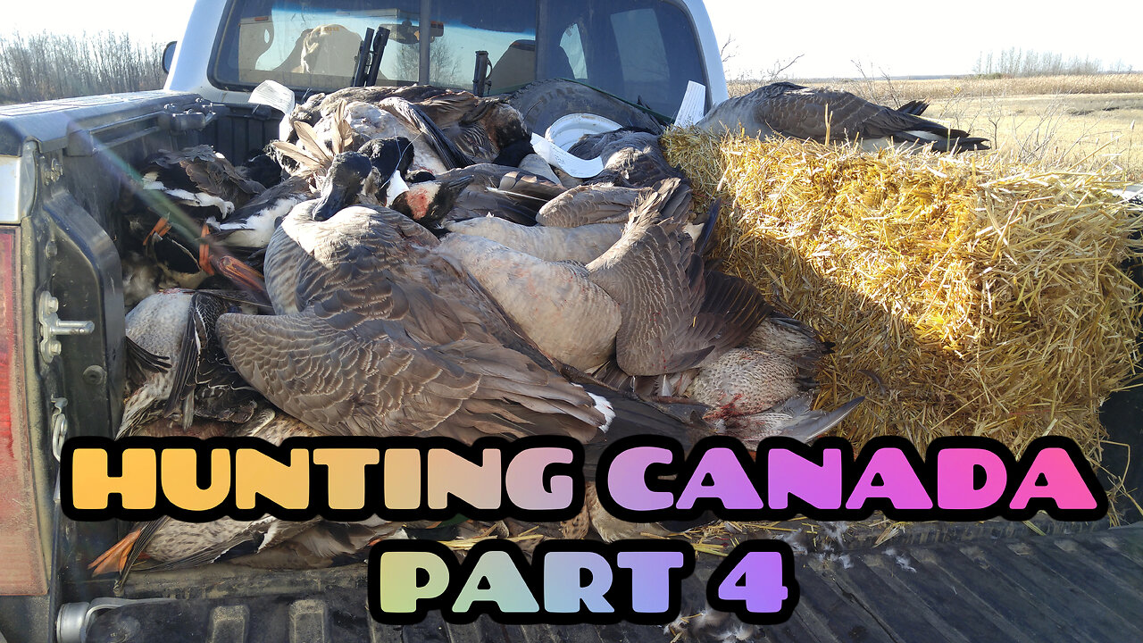 Goose/Duck Hunting Saskatchewan Canada Day 3. Part 4 of 4 Guided Waterfowl Hunt