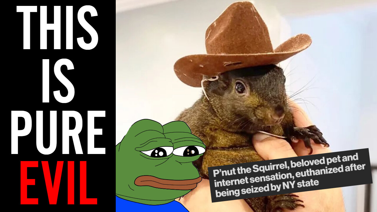 New York State EUTHANIZED A Beloved Family Pet!! Viral Squirrel Causes FIRESTORM Online!!