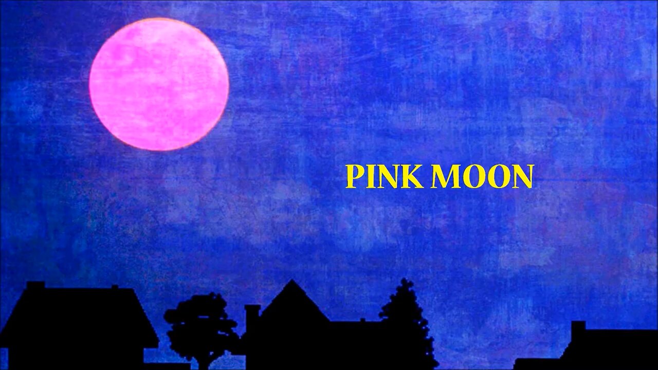 PINK MOON & ONE OF THESE THINGS FIRST by Nick drake