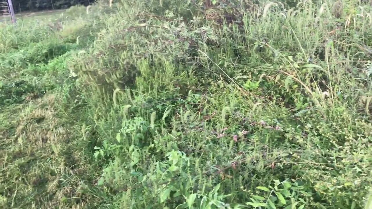 the right equipment does for the job that needs done