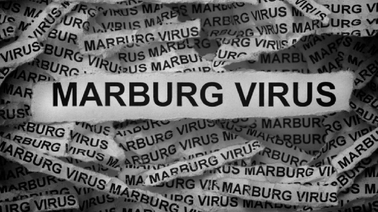 🦠☣️ BioTech Engineer and Whistleblower Kieran Morrissey Believes the Next Pandemic Will Be "Marburg" and Explains Why - Treatment Link Below 👇