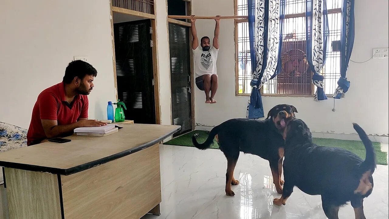 Home entertainment with squad || Mr.Bolt & Nut
