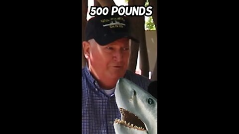 This Guy Caught a 500 Pound Fish