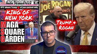 TRUMP WEEKEND. Rogan interview breaks internet. NYC for TRUMP. Beyonce rally FAILURE. TC 10/28/24