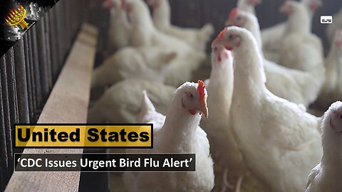 'CDC Issues Urgent Bird Flu Alert'