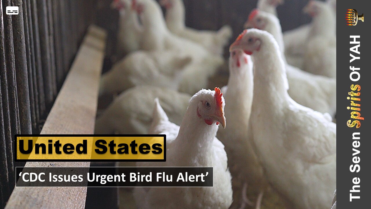 'CDC Issues Urgent Bird Flu Alert'