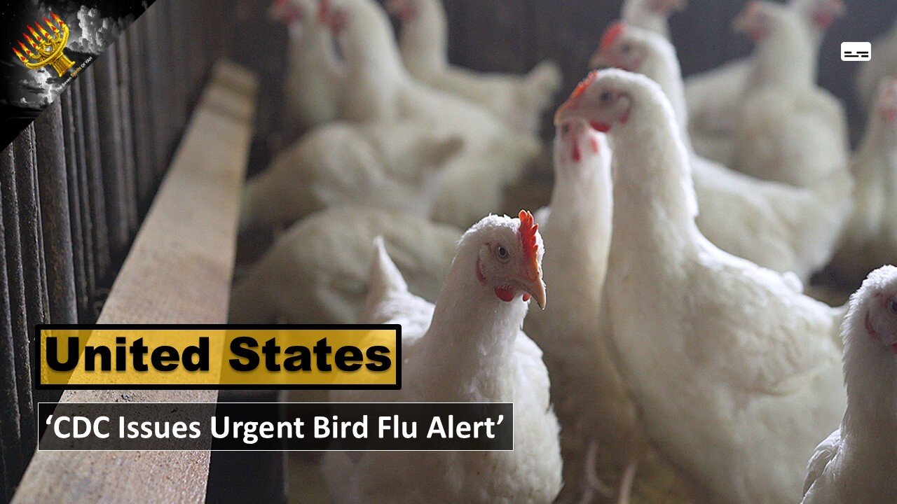 'CDC Issues Urgent Bird Flu Alert'