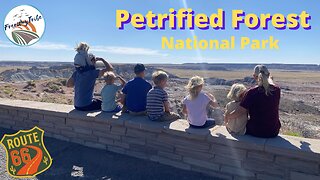 Petrified Forest